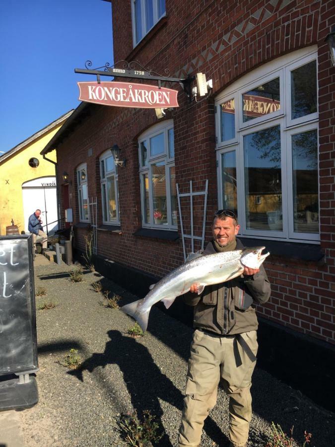 Kongeakroen Brørup المظهر الخارجي الصورة